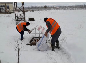 Akşehir Belediyesi sokak hayvanlarını beslemeyi Sürdürüyor