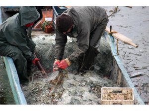 Göle serilen ağlar buz tuttu, balıkçıların mesaisi zorlaştı