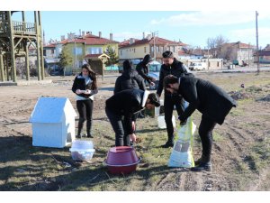 Üniversite öğrencilerinden sokak hayvanlarına “sıcak bir yuva” projesi