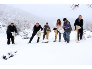 Aksaray’da yaban hayvanları için doğaya yem bırakıldı