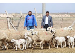 Korona virüs fırsatçılarının yem fiyatlarında yaptığı fahiş artışa tepki