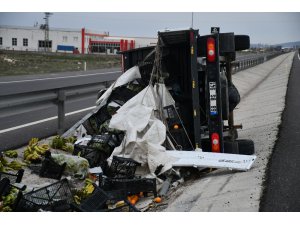 Aksaray-Konya Yolunda Meyve Yüklü Kamyonet Devrildi: 1 Yaralı