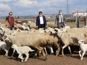 Aksaray’da tarımsal ve hayvansal üretim tüm hızıyla devam ediyor