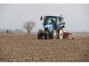 Çiftçiler tarlada havuç ekimi mesaisine başladı