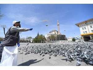 Sokağa çıkma kısıtlamasında sokak hayvanları unutulmuyor