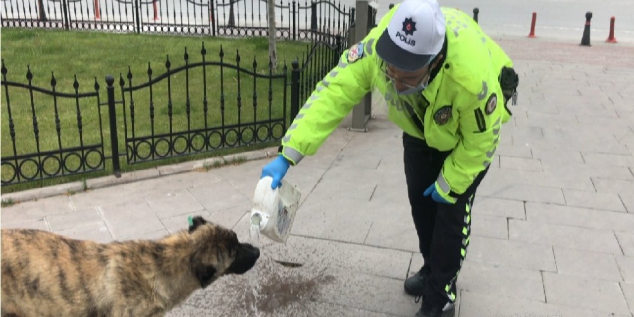 Trafik polisinin davranışı yürekleri ısıttı