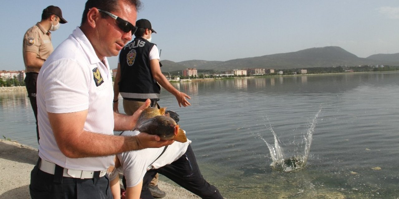 Beyşehir Gölüne balık taşıma mesaisi sürüyor