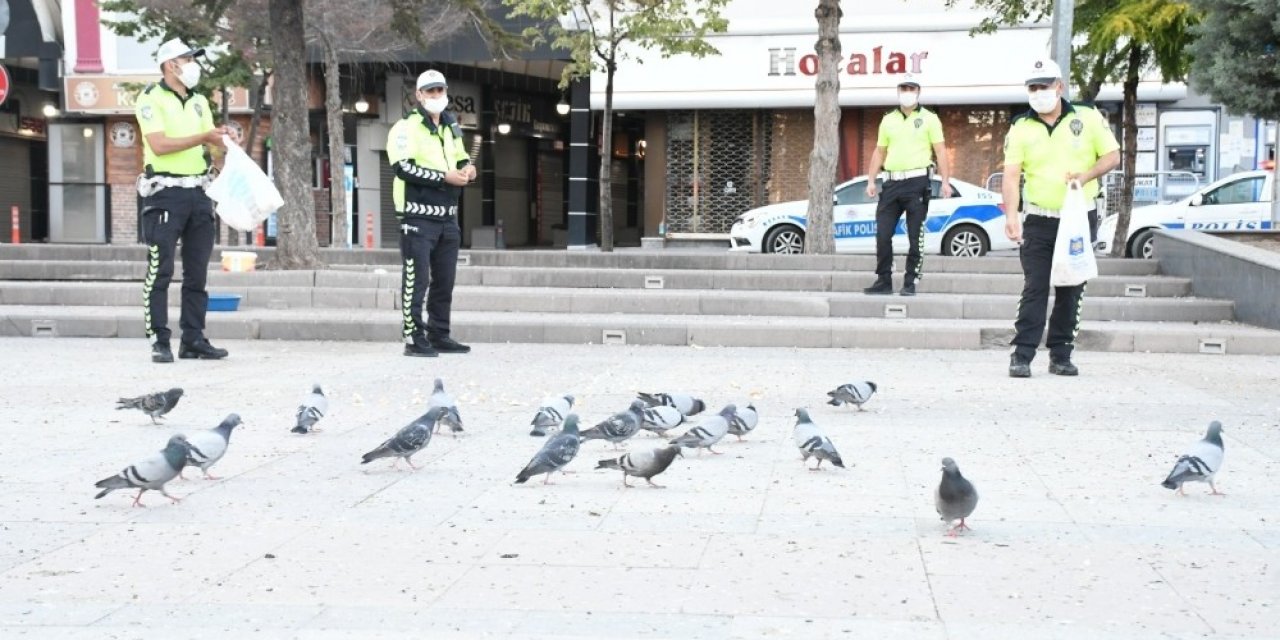 Aç kalan kuşları polis yemledi