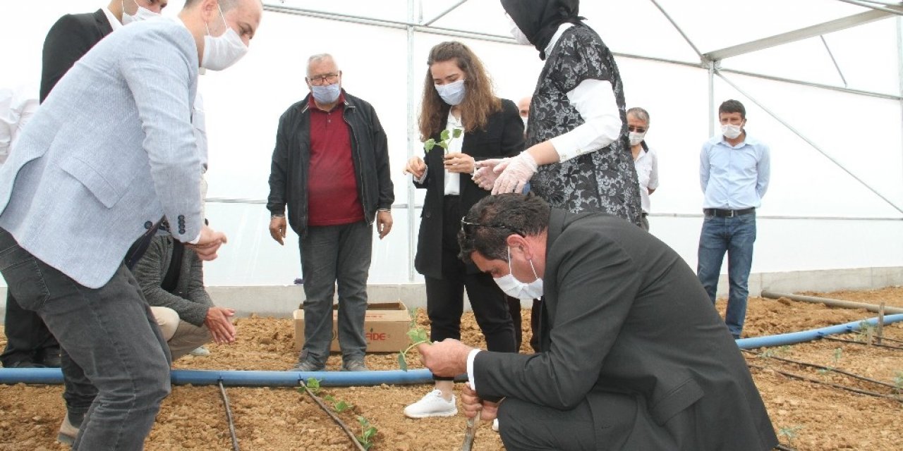 Hüyük’te seracılık gelişiyor