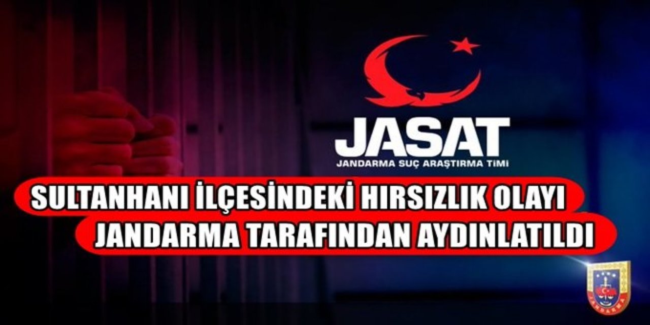 Aksaray ve Sultanhanı'ndaki Hırsızlık Olayları Jandarma Tarafından Aydınlatıldı