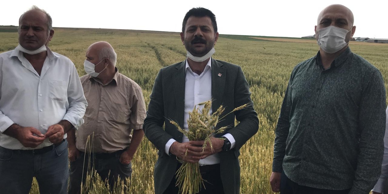 Ali Abbas Ertürk, "Eskil'de dolunun verdiği hasar belirtilenden çok daha fazla"