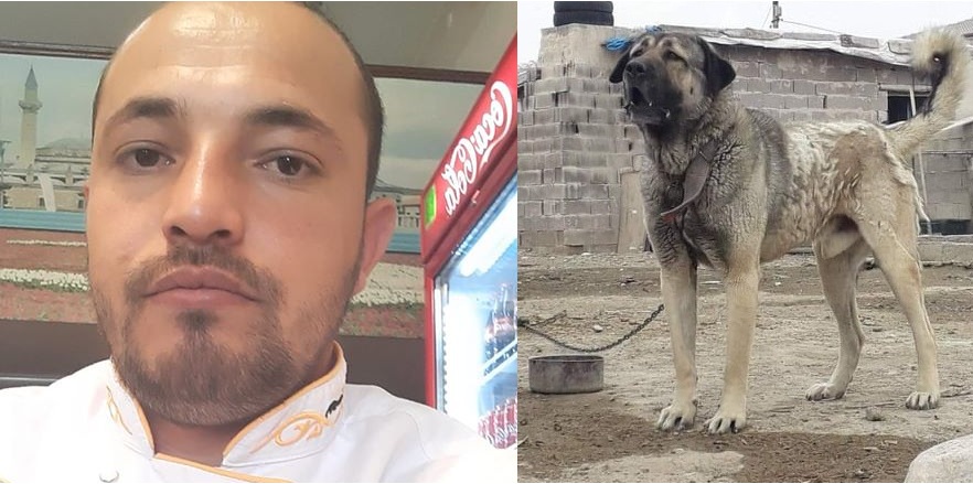 Eskilli vatandaştan tepki, 'Köpeğimi hırsızlık yapabilmek için zehirlediler'