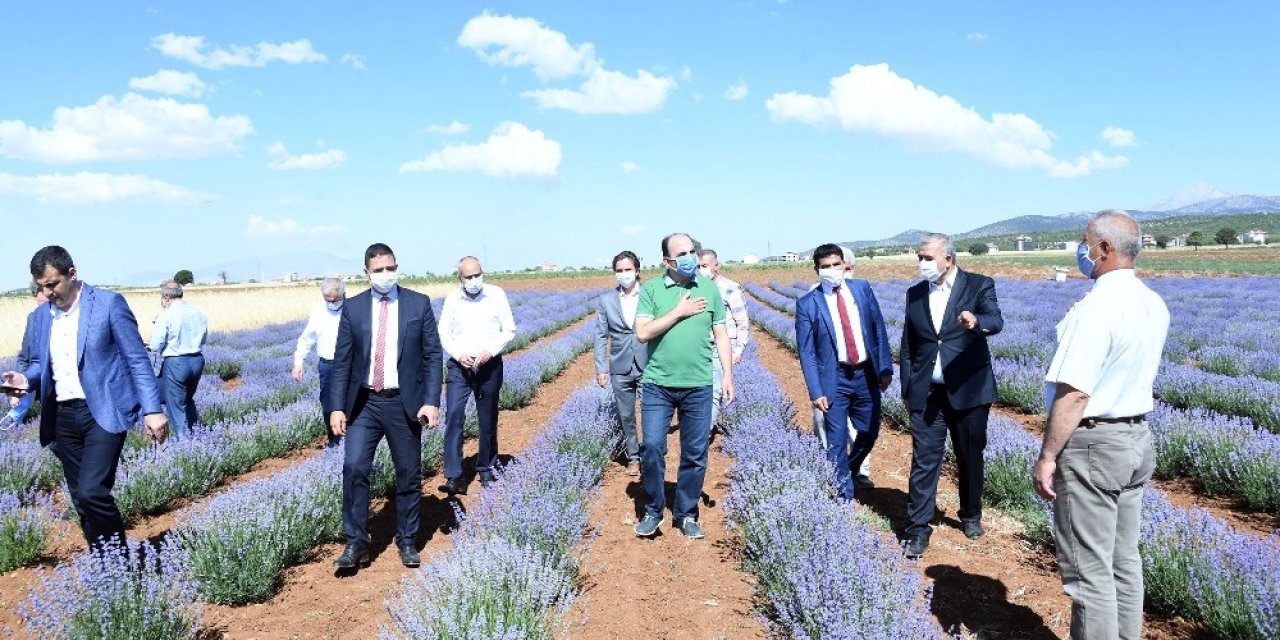 Başkan Altay: "Güneysınır lavantasını marka yapmak istiyoruz"