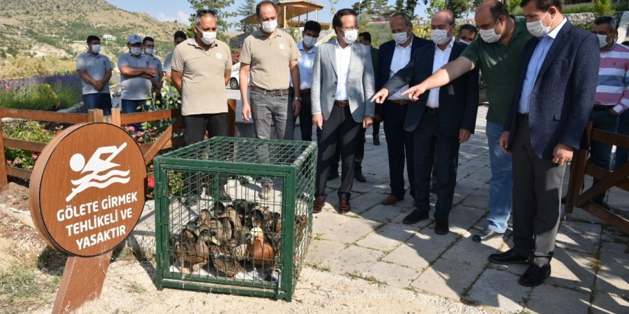 Sille Barajı göçmen kuşlara ev sahipliği yapıyor