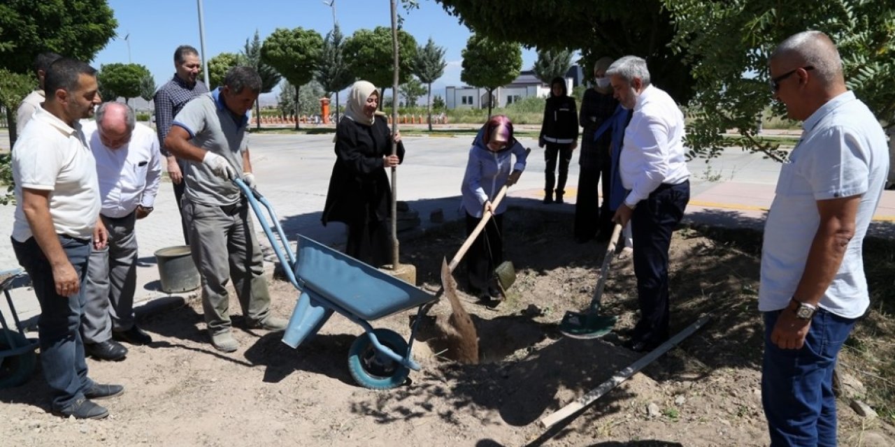 Rektör Şahin, mezuniyet hatırası olarak öğrencilerle fidan dikti