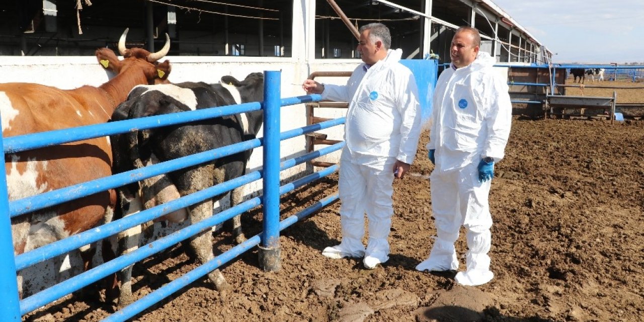 Aksaray ilave çiğ süt desteklemesinde pilot il olarak seçildi