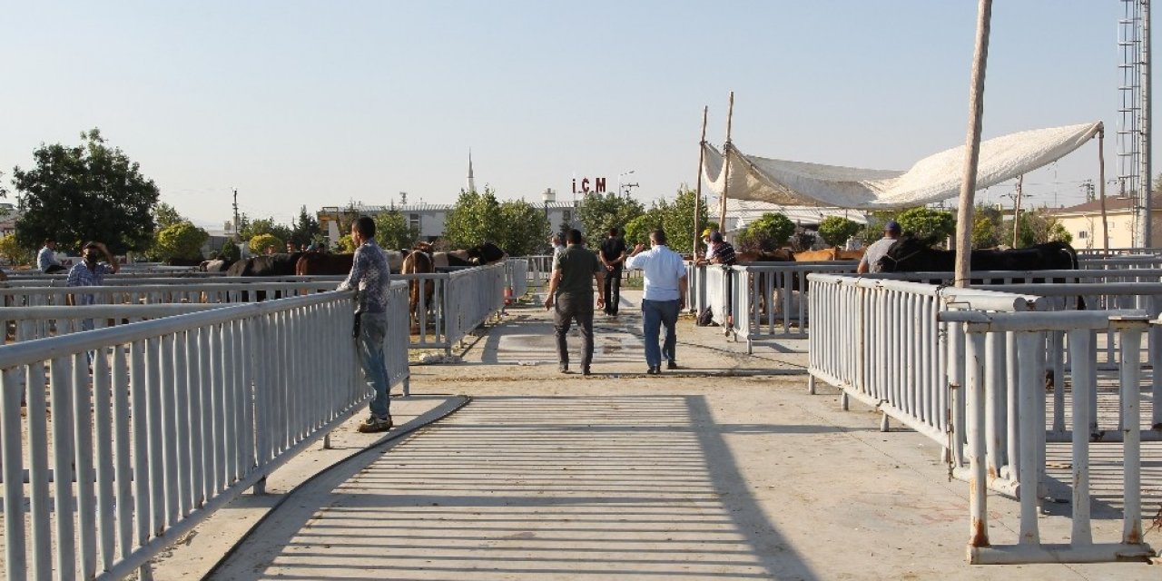 Konya’da kurban pazarında pandemi sakinliği