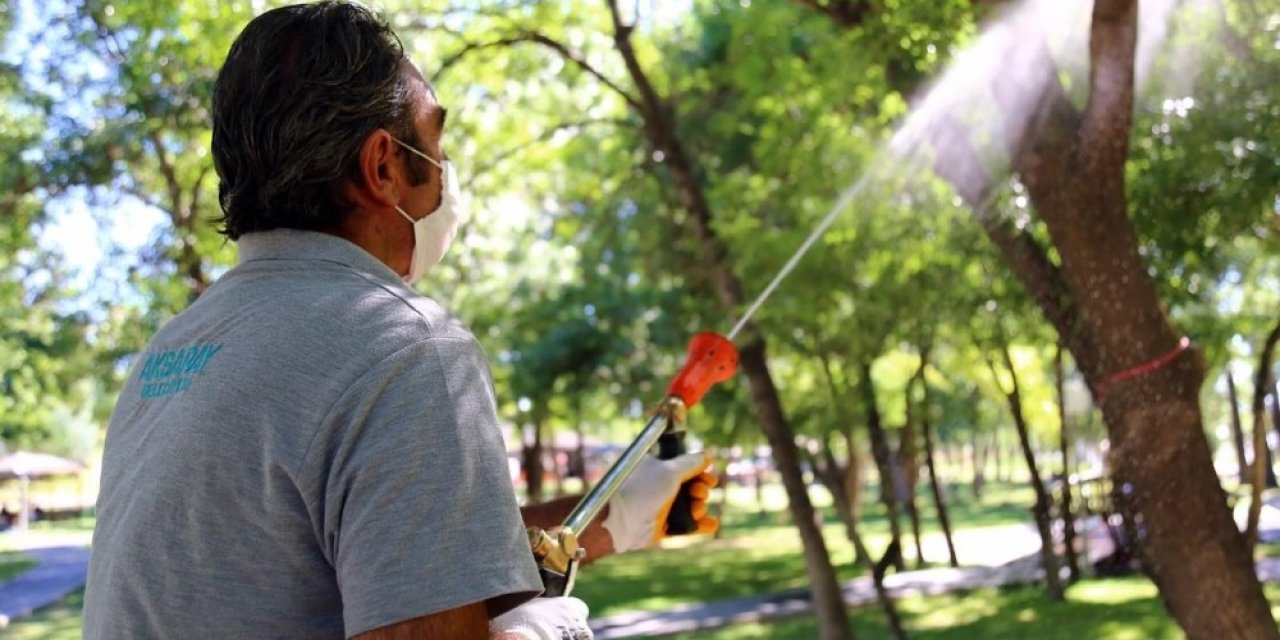 Aksaray’da haşere ile mücadelesi devam ediyor