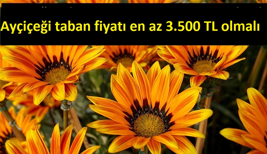 Ayçiçeği taban fiyatı en az 3.500 TL olmalı