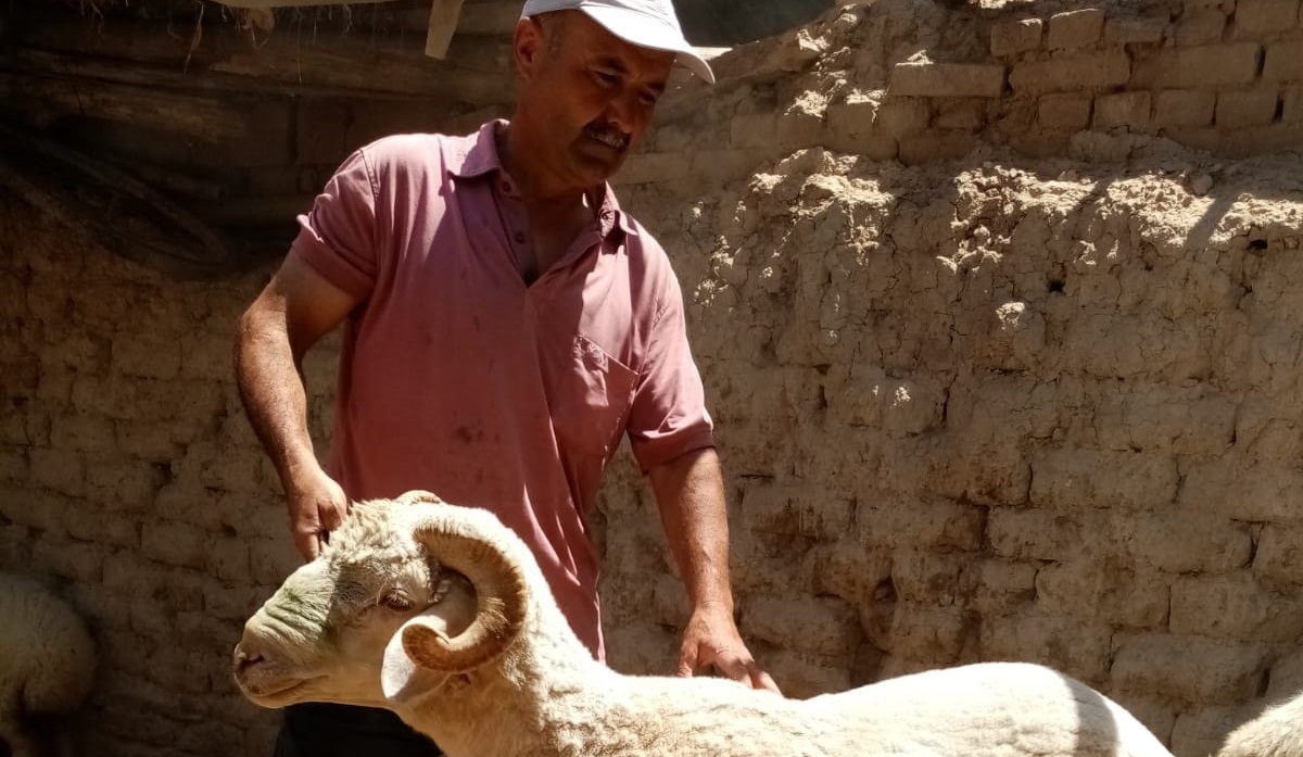 Konya Adaklık Kurban