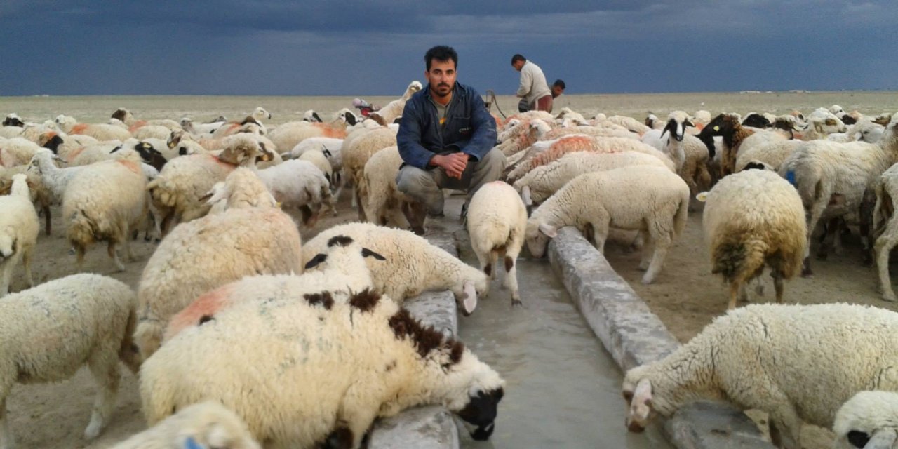 Tarım ve Hayvancılık Susuzluktan Ölümün Eşiğinde!