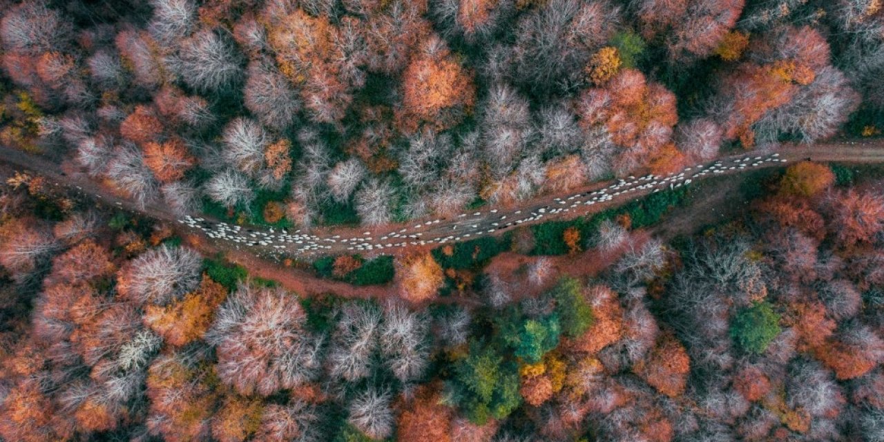 “Yol ve Yolculuk” yarışmasının kazananları belli oldu