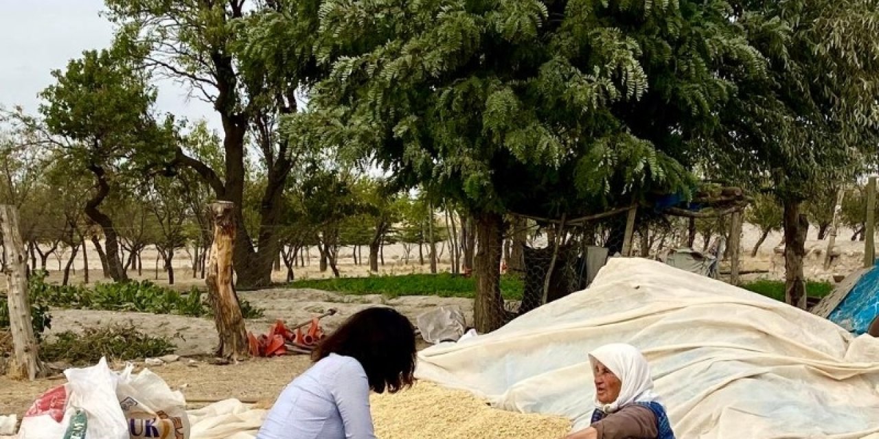 CHP'li Esen Uz Sökmen Mahalle ve Köylerde Vatandaşı Dinledi