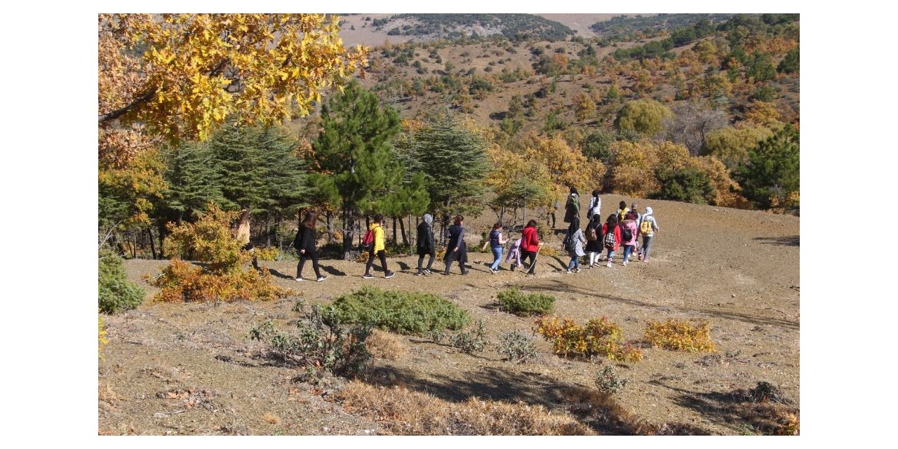 Beyşehir Gölü Milli Parkı sonbaharda doğa tutkunlarını hayran bırakıyor