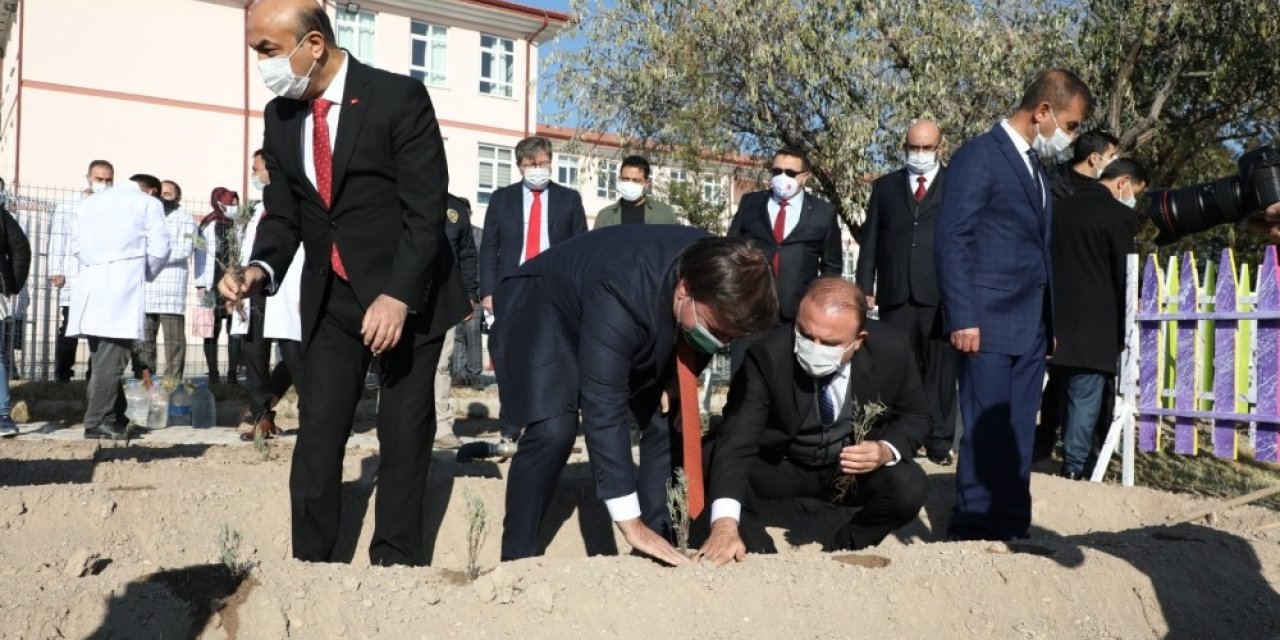 Öğretmen vali, okullarda öğretmenlerin gününü kutlayarak lavanta dikti