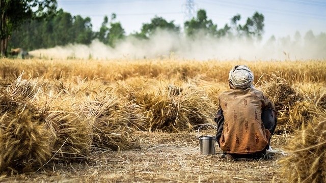 O ürünlerde destek için fatura verme süreci başlıyor