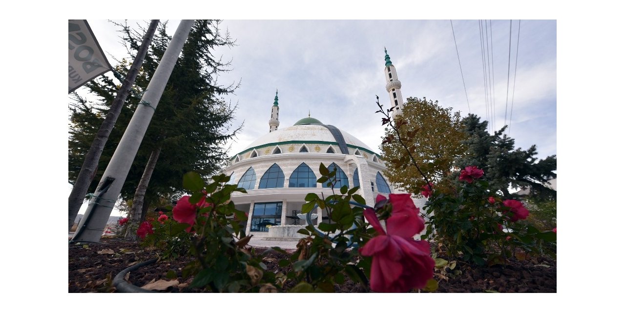 Selçuklu’da cami avluları yeşile bürünüyor