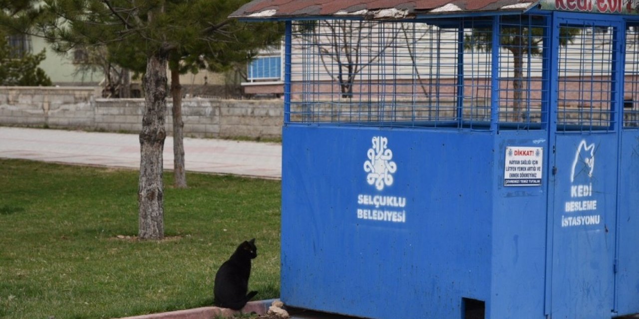 Selçuklu’da sokak hayvanları unutulmuyor