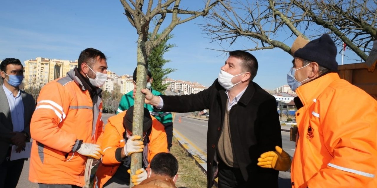 Aksaray Belediyesi fidan dikim seferberliği başlattı