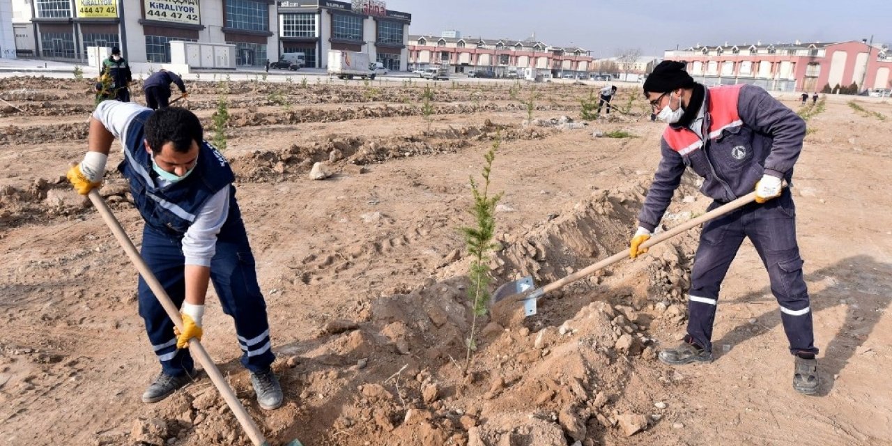 Karatay Belediyesi basın mensupları adına fidan dikti