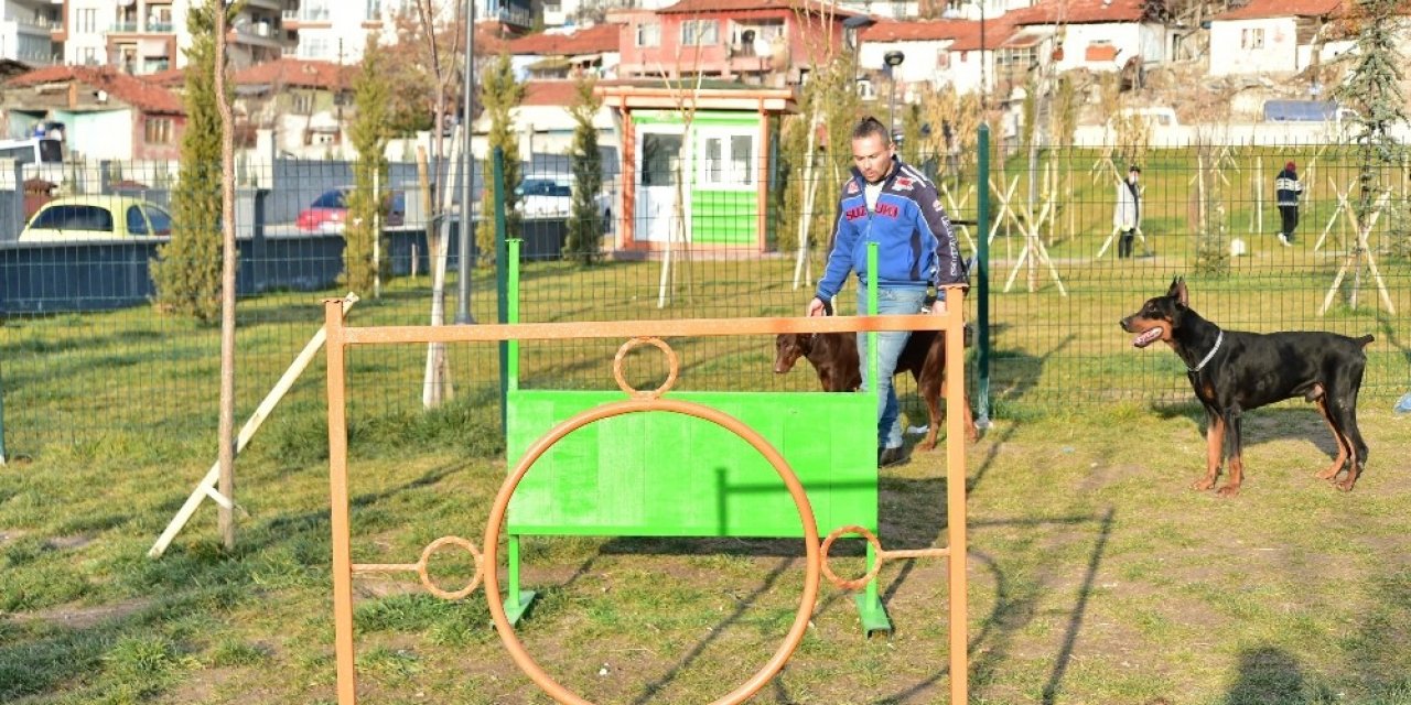 Mamak Belediyesinden ‘Köpek Parkı’