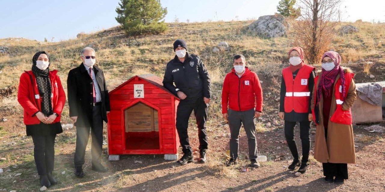 Gönüllülerce Meram’a yeni kedi, köpek ve kuş evleri kazandırılıyor