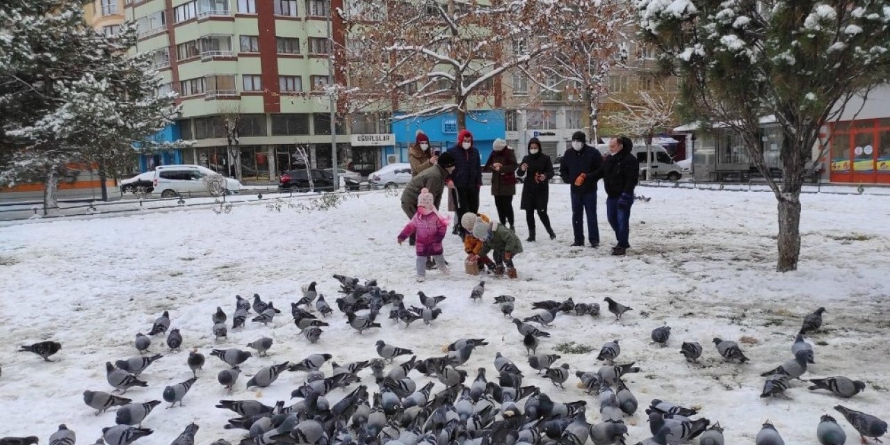 Soğuk havalarda sokak hayvanları unutulmadı