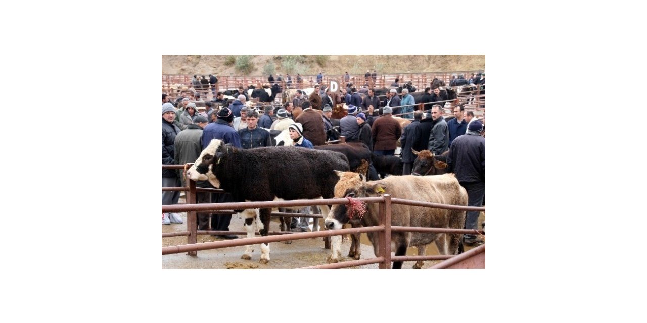 Nevşehir Hayvan Pazarı geçici olarak kapatıldı