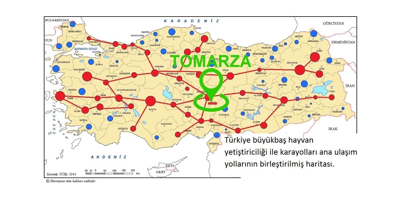 Tomarza için Canlı Hayvan Pazarı Projesi