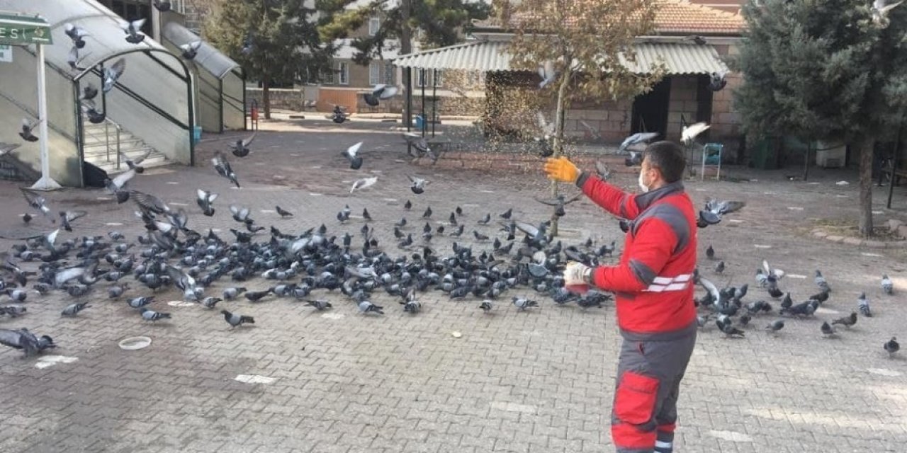 Kısıtlamada sokak hayvanları unutulmadı