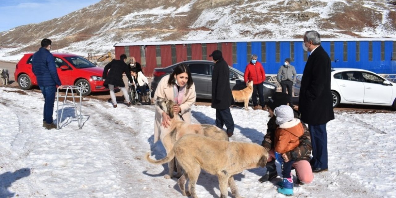 Yemek artıkları ziyan olmuyor, sokak hayvanlarının karnını doyuruyor