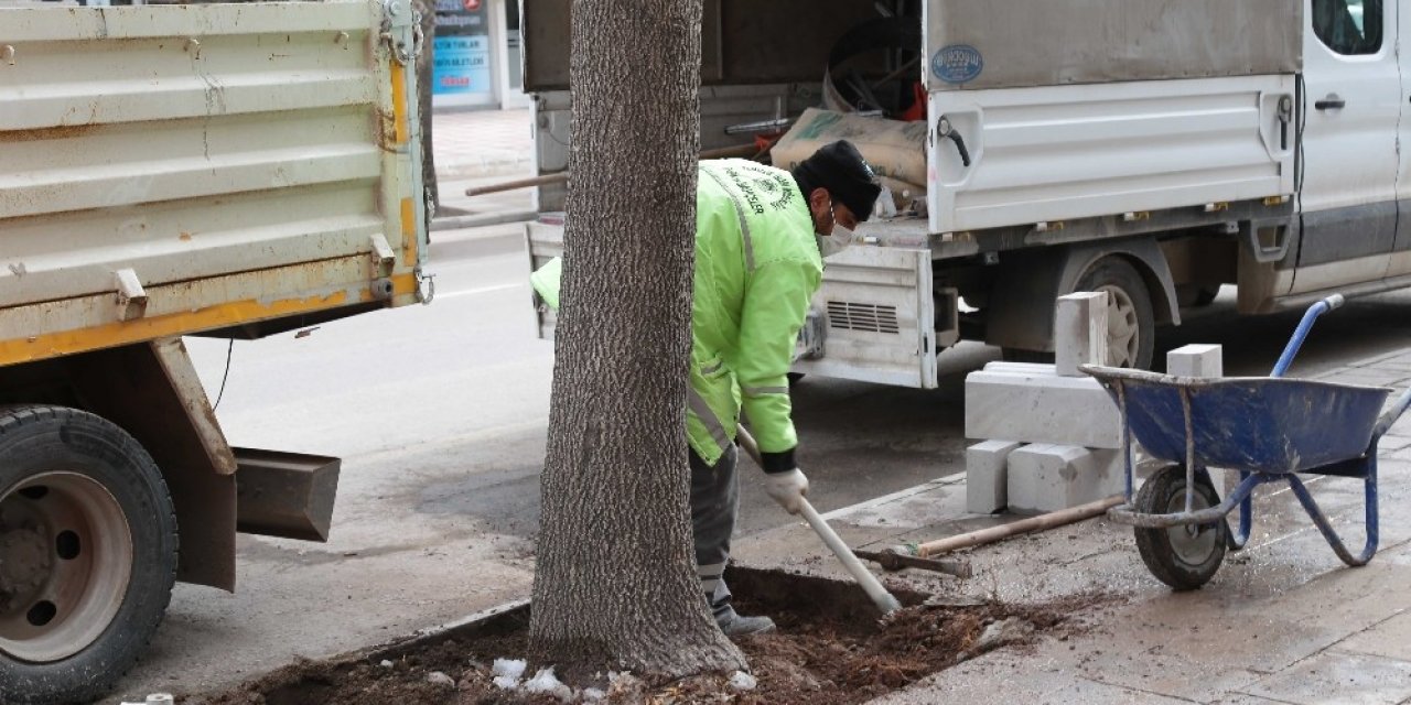 Aksaray’da yeşil alanların bakımı kış aylarında da devam ediyor