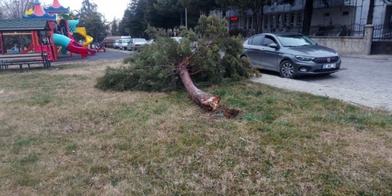 Beyşehir’de şiddetli fırtına ağaçları devirdi