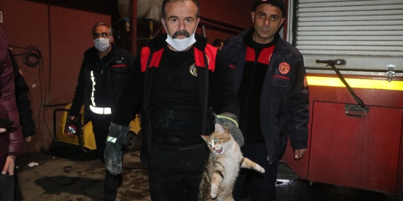 Hırçın kedi, ekipleri alarma geçirdi: Çıkması için hamsi bile verdiler