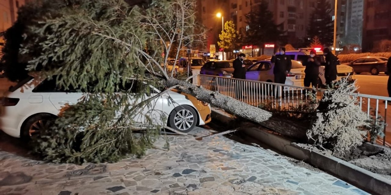 Şiddetli rüzgar çatıları uçurdu, ağaçları yerinden söktü