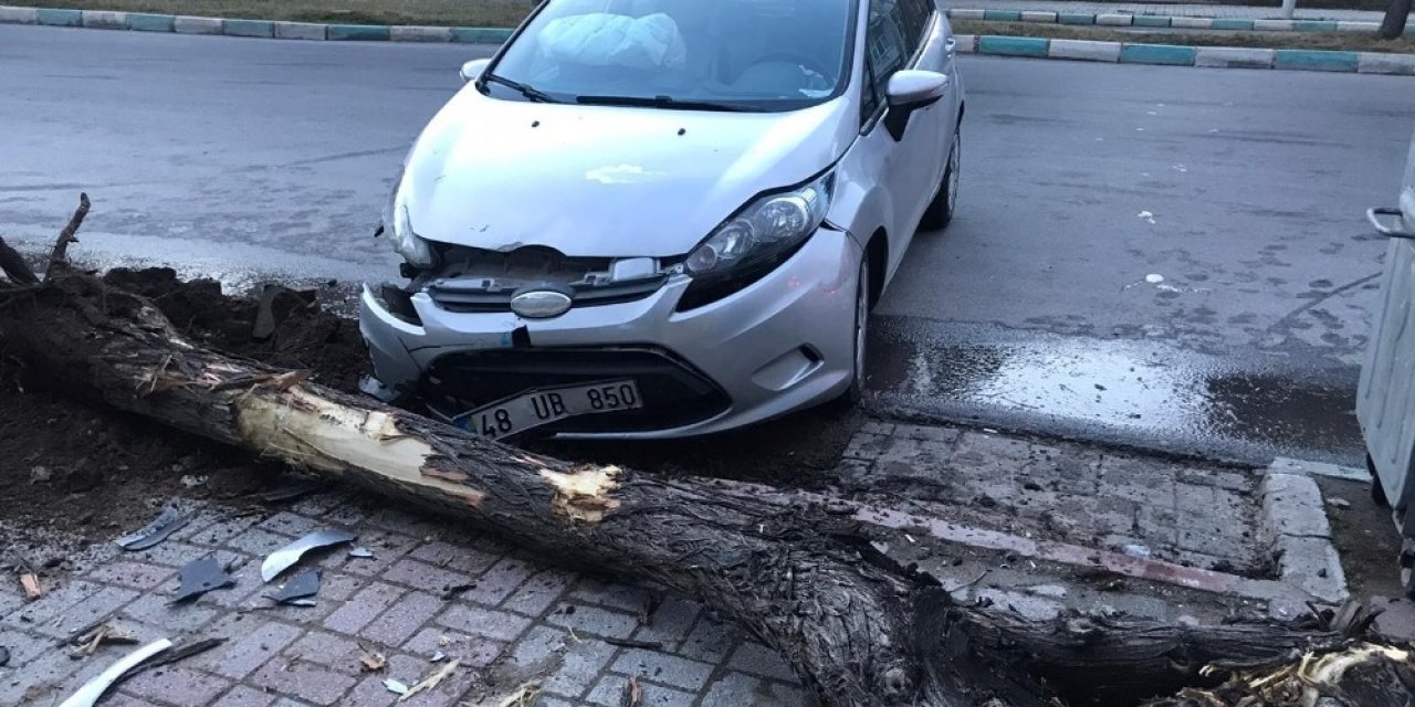 Konya’da otomobil ağaca çarptı: 1 yaralı