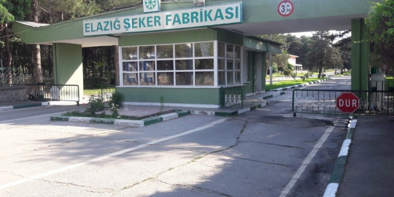 Şekere doydular