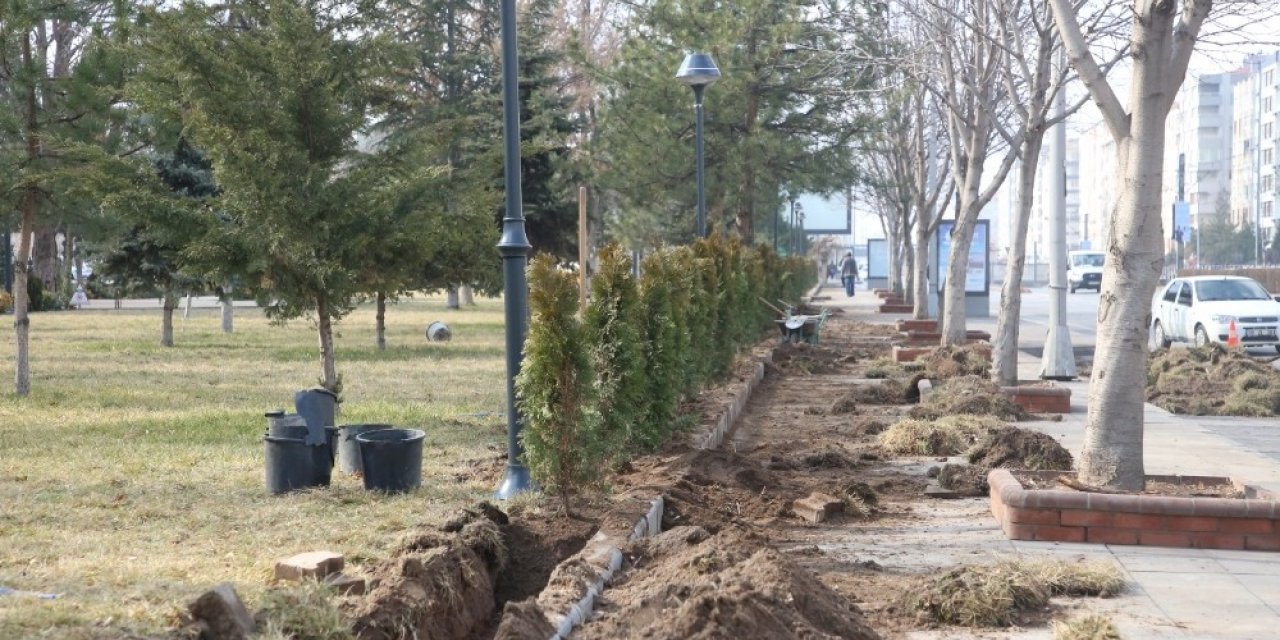 Melikgazi’nin parklarına ağaç ve süs bitkisi dikimi başladı