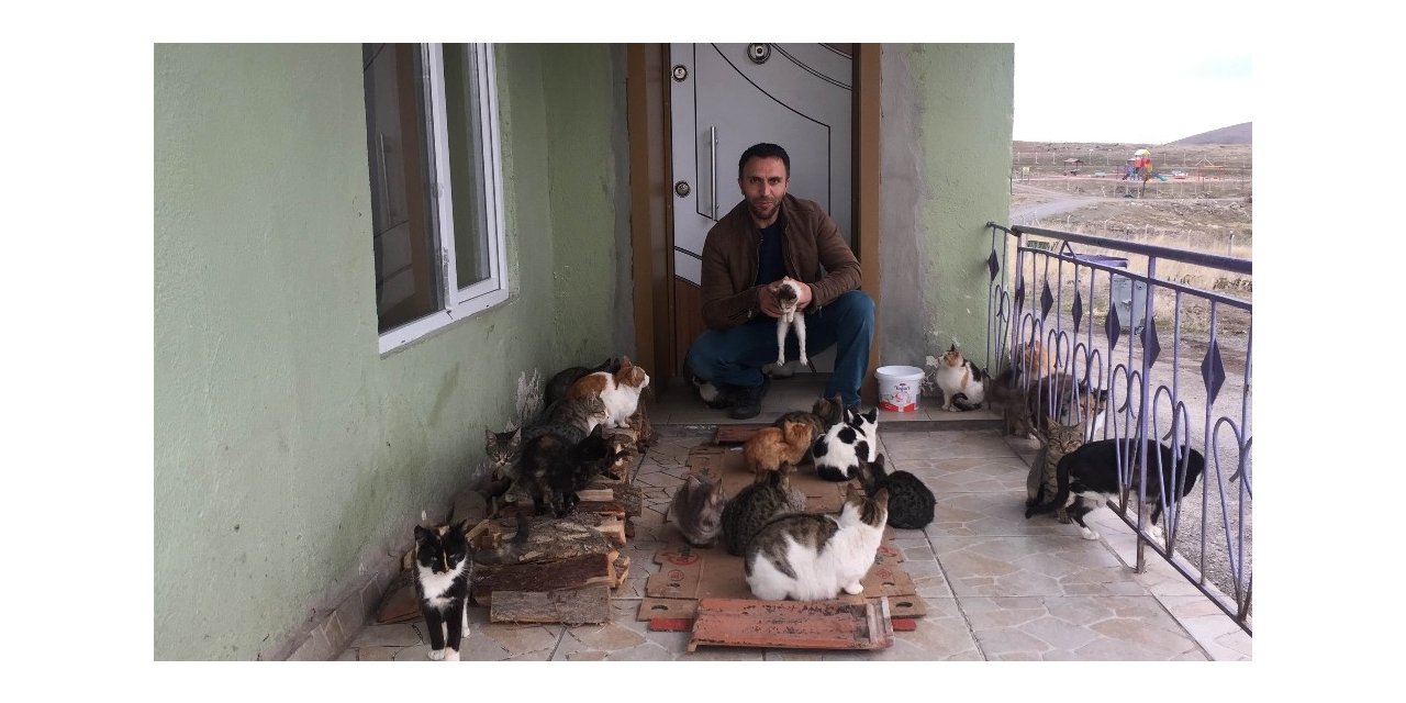 Konya’da yaklaşık 30 kedi besleyen imam: "Biz onlara baktıkça huzur bulduk"