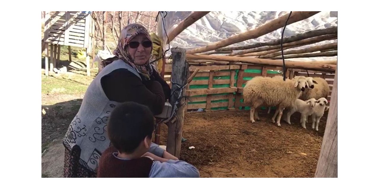 Konya’da şehit annesinin koyunları çalındı